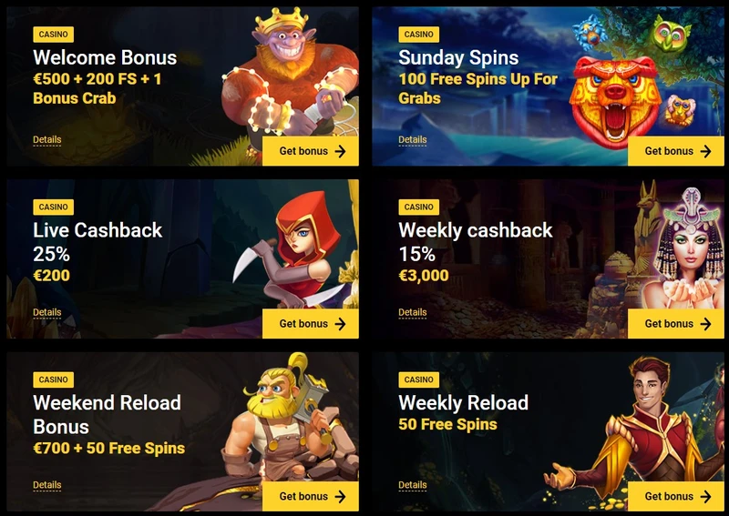 Bonusy Zet Casino